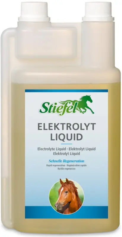 Wochenendangebot Stiefel Elektrolyt Liquid 1 l