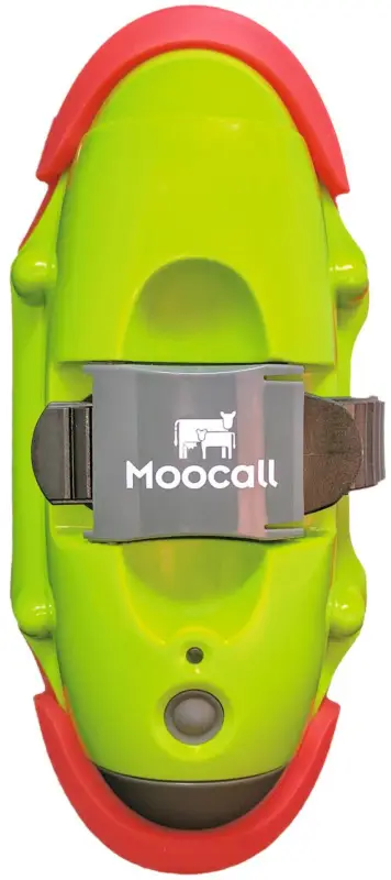 Markenprodukt Kerbl Moocall Abkalbemelder