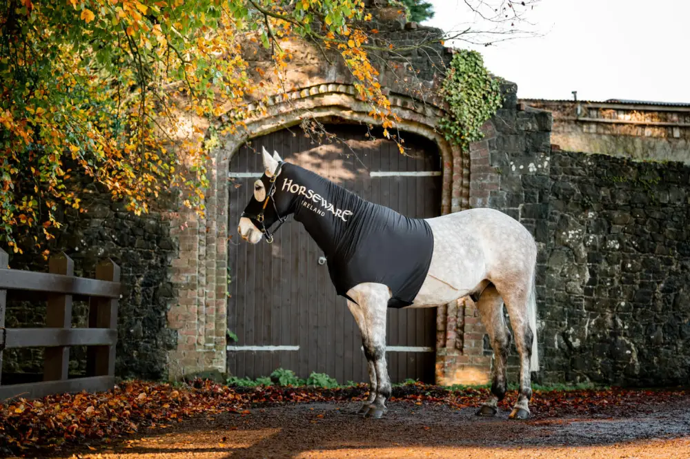 Heißes Angebot Horseware Rambo Slinky Hood schwarz, XS (110-115cm)