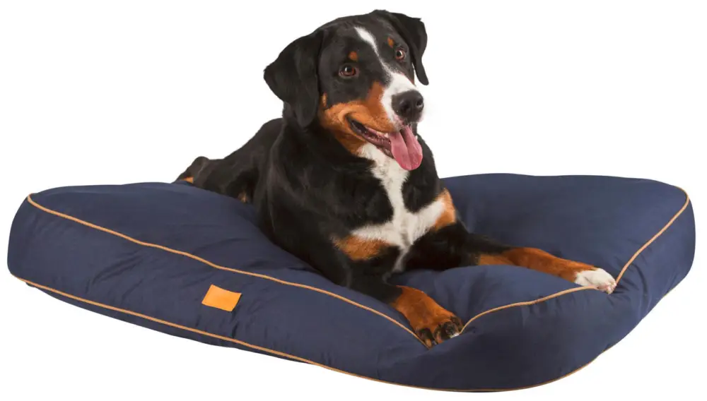 Garantierte Lieferung Kerbl Liegekissen für Hunde S