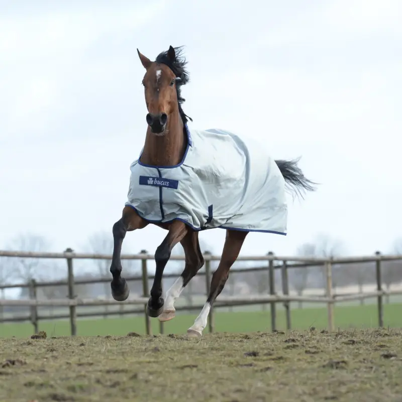 Bucas Power Turnout Light 0g silber, 145 cm Sale