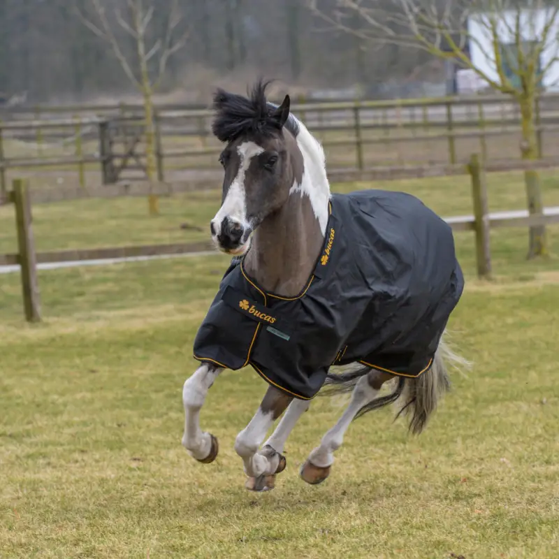 Bucas Irish Turnout 50 g schwarz, 135 cm Sichere Zahlung