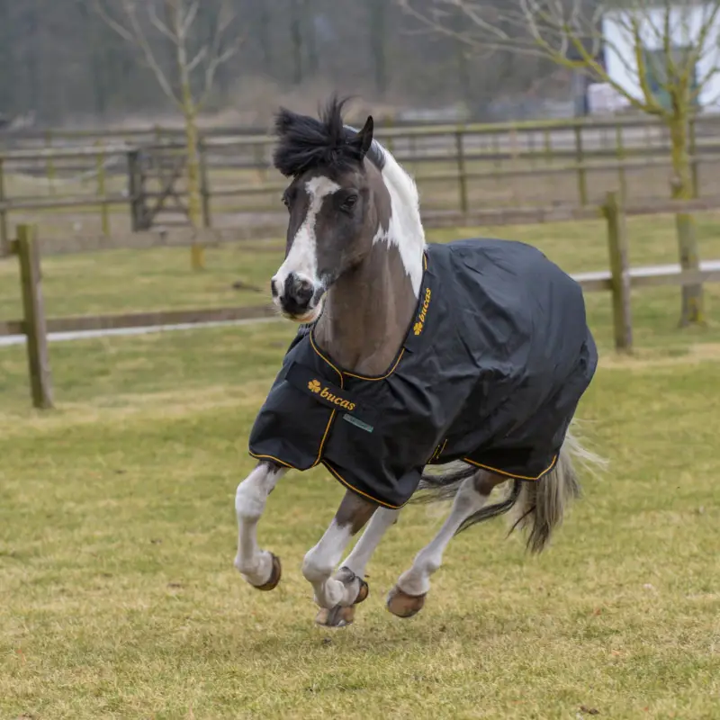 Geprüft Bucas Irish-Turnout Extra 300 g schwarz, 125 cm