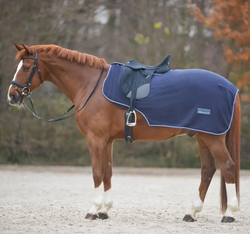 Highlight Waldhausen Fleece-Ausreitdecke Economic marine, Pony
