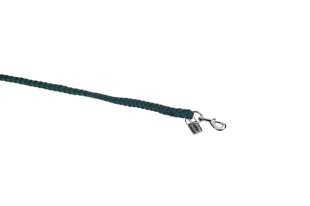 Eskadron Führstrick mit Karabiner silber racing green Wochenendangebot