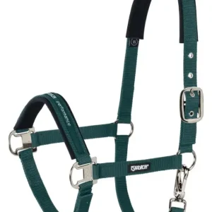 Eskadron Halfter Pin Buckle racinggreen/silver, Pony Begrenztes Angebot