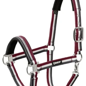 Highlight Eskadron Halfter Pin Buckle anthra-creme, Pony