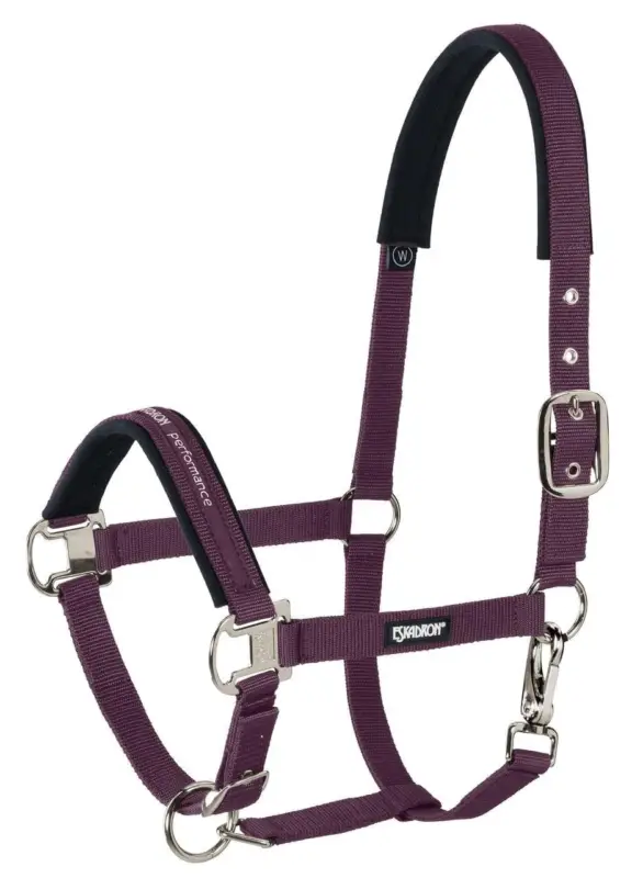 Mega-Angebot Eskadron Halfter Pin Buckle blackberry/silver, Shetty