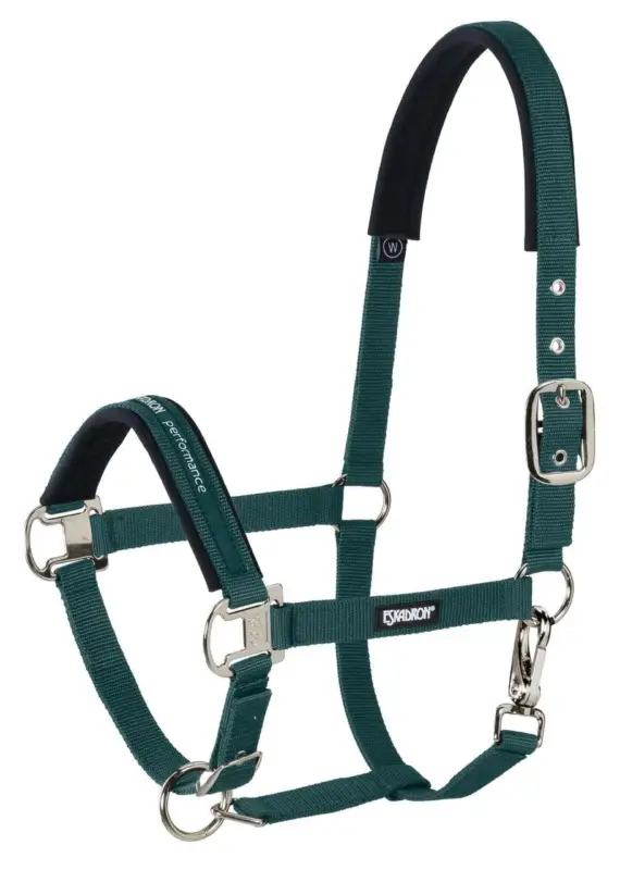 Saisonangebot Eskadron Halfter Pin Buckle racinggreen/silver, Cob = Vollblut