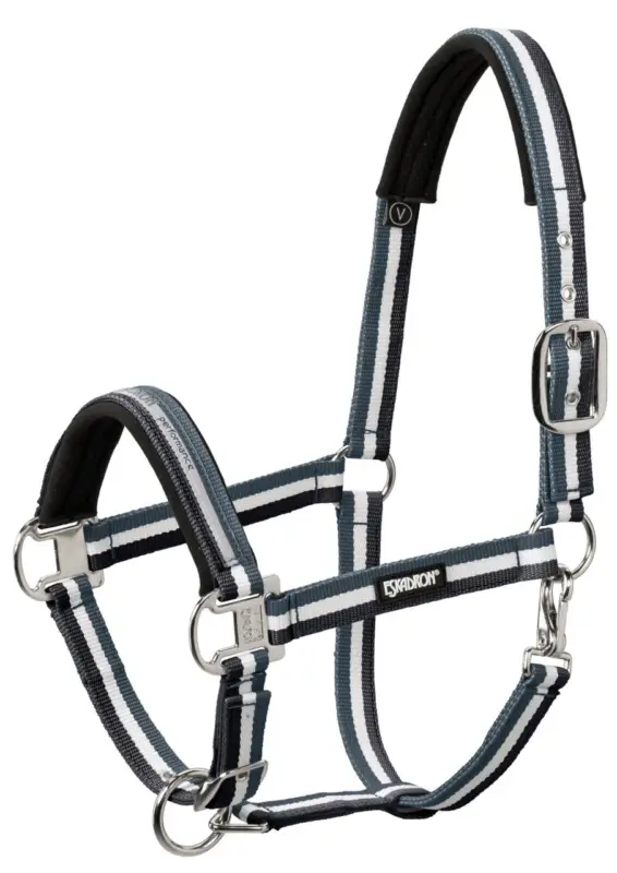 Nur Für Kurze Zeit Eskadron Halfter Pin Buckle nightblue-creme-ashblue, Cob = Vollblut