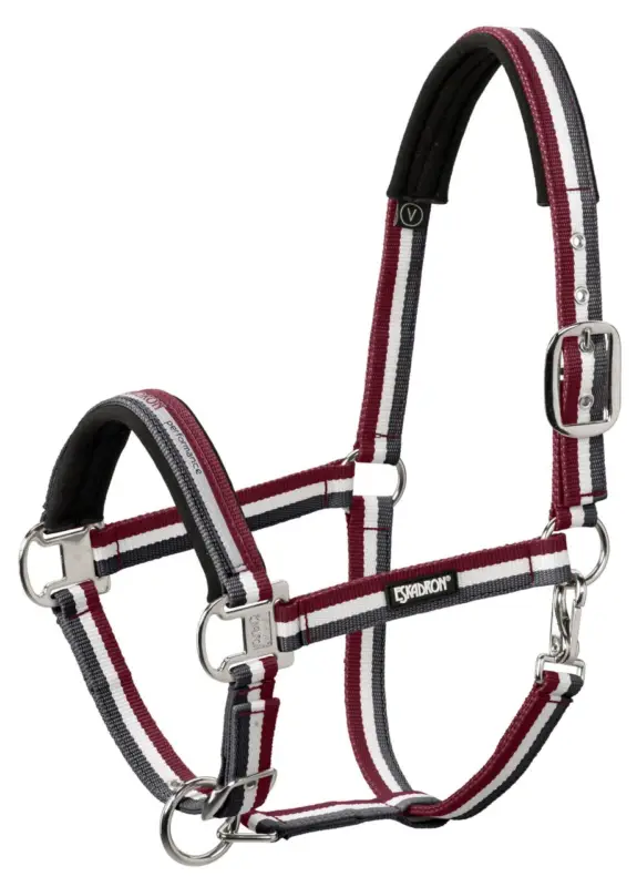 Neu Im Sortiment Eskadron Halfter Pin Buckle anthra-creme, Cob = Vollblut
