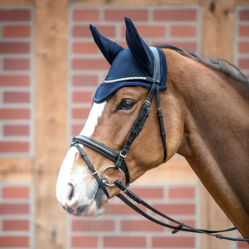 Busse Ohrenhaube FLY-AIR navy, WB Aktuell