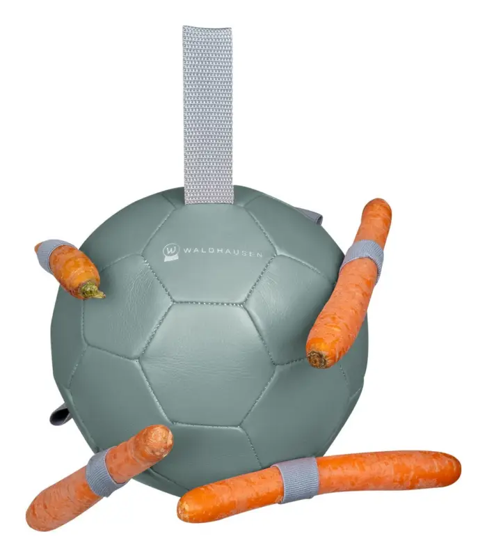 Online Kaufen Waldhausen Karottenball mistel