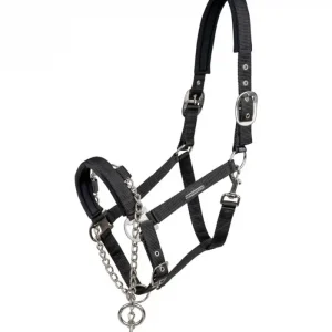 Begrenztes Angebot Waldhausen Halfter Pro Safety schwarz, VB