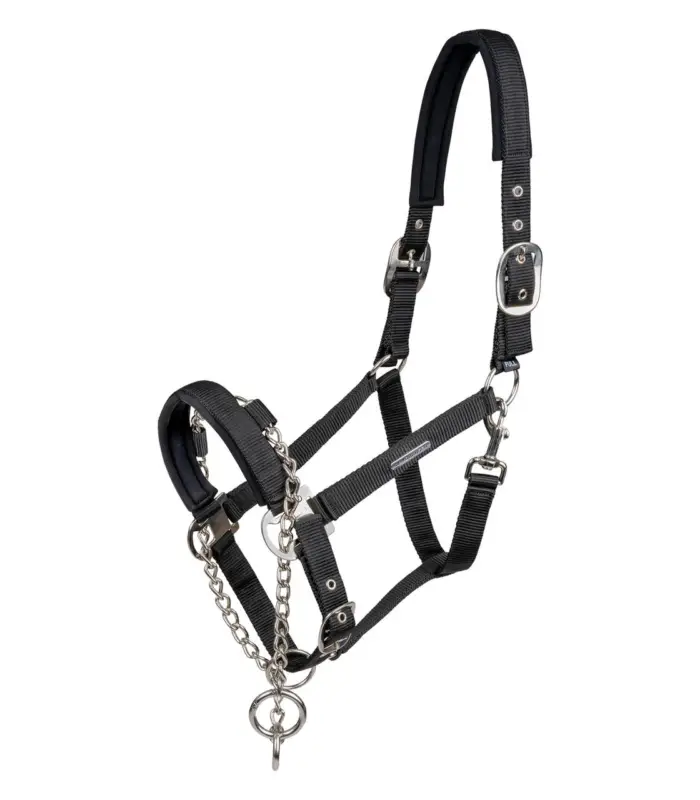 Begrenztes Angebot Waldhausen Halfter Pro Safety schwarz, VB
