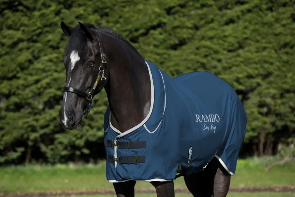 Schnäppchen Horseware Rambo Dry Rug Supreme navy/silver, L (155- 165cm)
