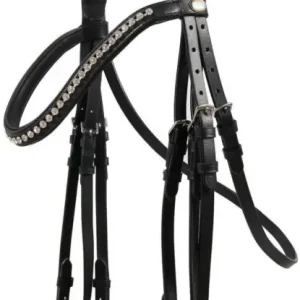 Echt Hans Melzer Kandare Hagen Schwedisch schwarz/silber, X-Full Warmblut extra / Kaltblut