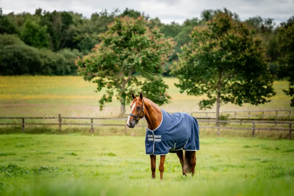 Expressversand Horseware Amigo Ripstop 900D Turnout 0g navy/titanium grey, 145 cm
