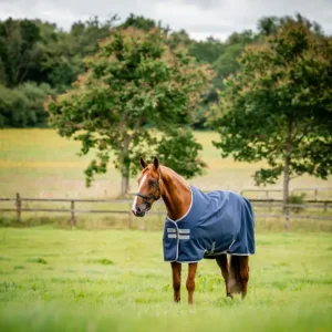 Angebot Horseware Amigo Ripstop 900D Turnout 50g navy/titanium grey, 130 cm