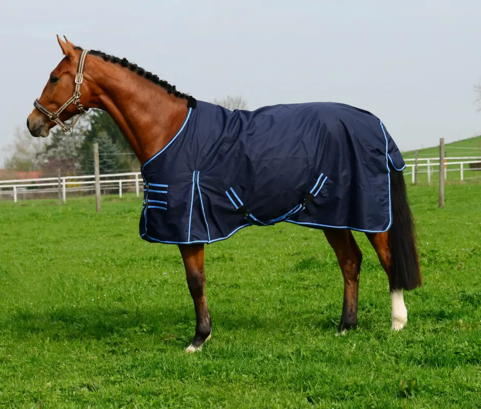 Solange Der Vorrat Reicht WAHL-Hausmarke Regendecke Rainmaster marine, 135 cm