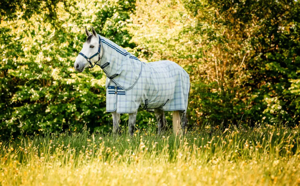 Horseware Newmarket Plus Fly Sheet witney navy, 155 cm Direktkauf