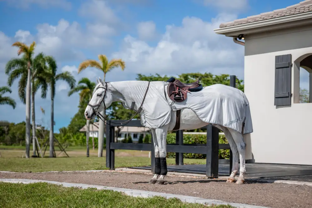 Günstig Horseware Amigo Flyrider silver/titanium grey & silver, L