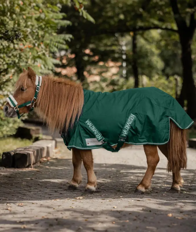 Echt Waldhausen Shetty-Regendecke Light tannengrün, 90 cm