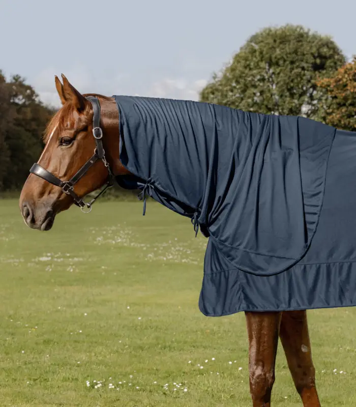 Neu Waldhausen Health + Care Ice Layer Halsteil nachtblau, Pony