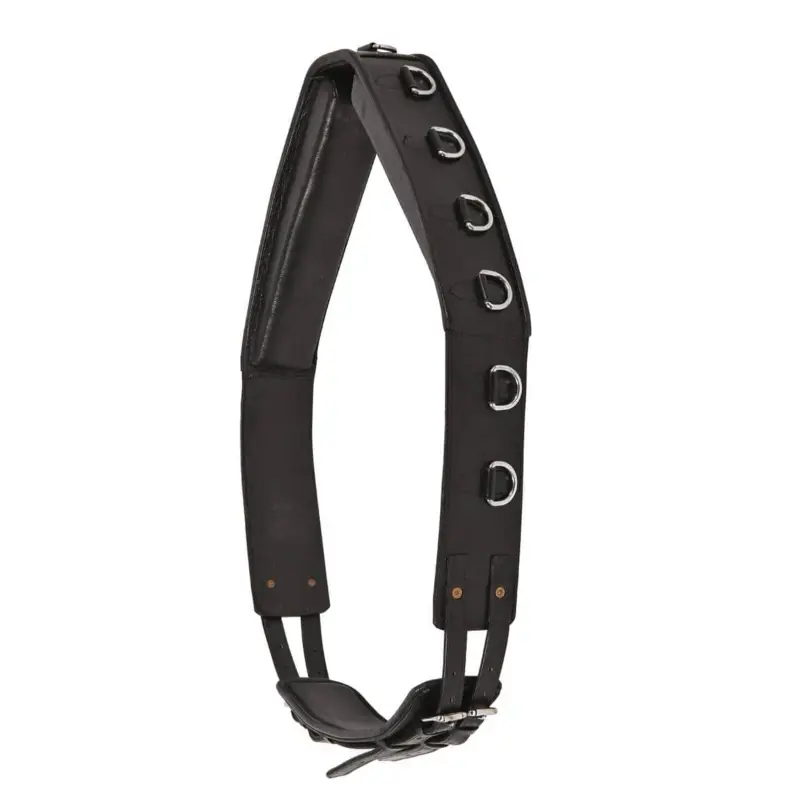 Waldhausen Longiergurt Leder schwarz, WB Online Kaufen