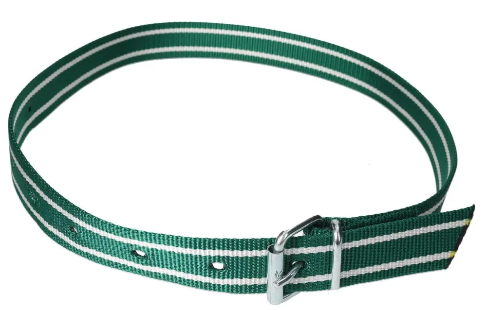 Schneller Versand Markierungshalsband 135cm versch. Farben grün