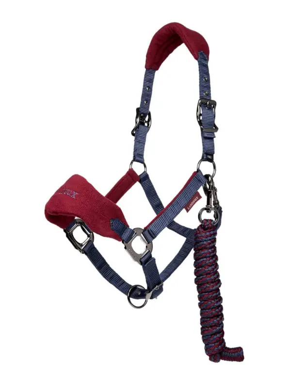 Beliebt LeMieux Vogue Halfter & Strick burgundy/navy, Pony