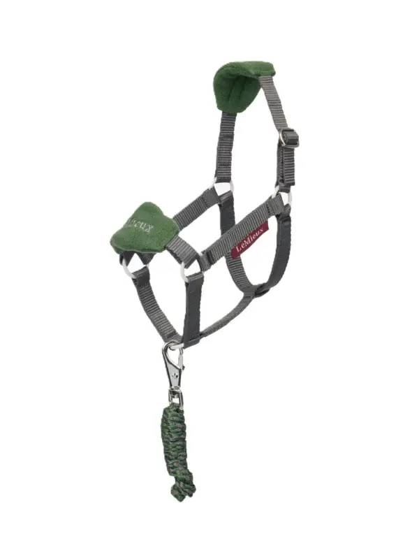 Geprüft LeMieux Hobby Horse Vogue Halfter & Strick hunter green