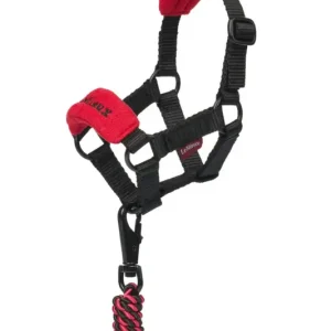 Echt LeMieux Toy Pony Vogue Halfter chilli