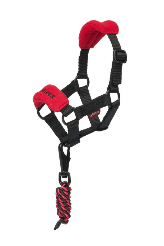 Echt LeMieux Toy Pony Vogue Halfter chilli