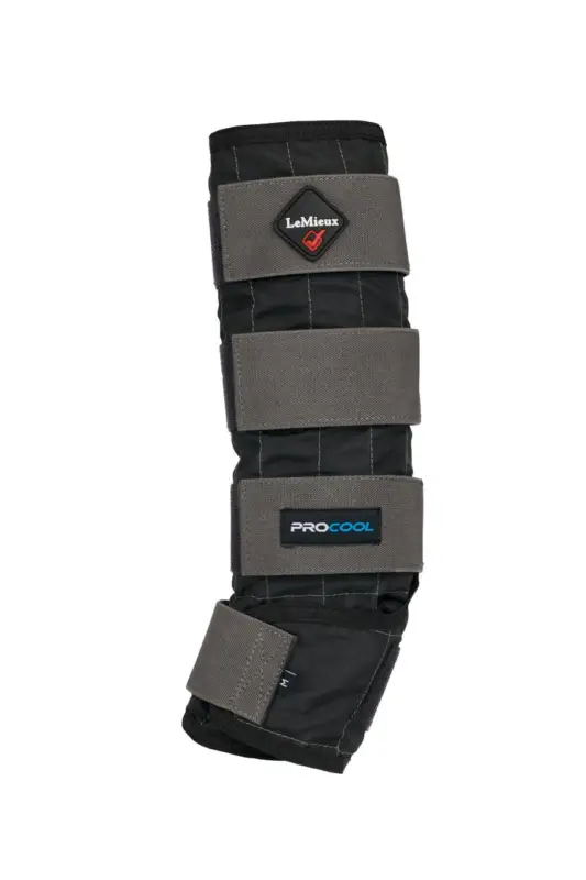 LeMieux Cold Water Boots, 2er Set schwarz, M Sale