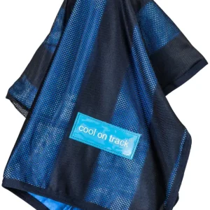 Cool on Track Cooling Handtuch blau, 53 x 76 cm Bestpreis