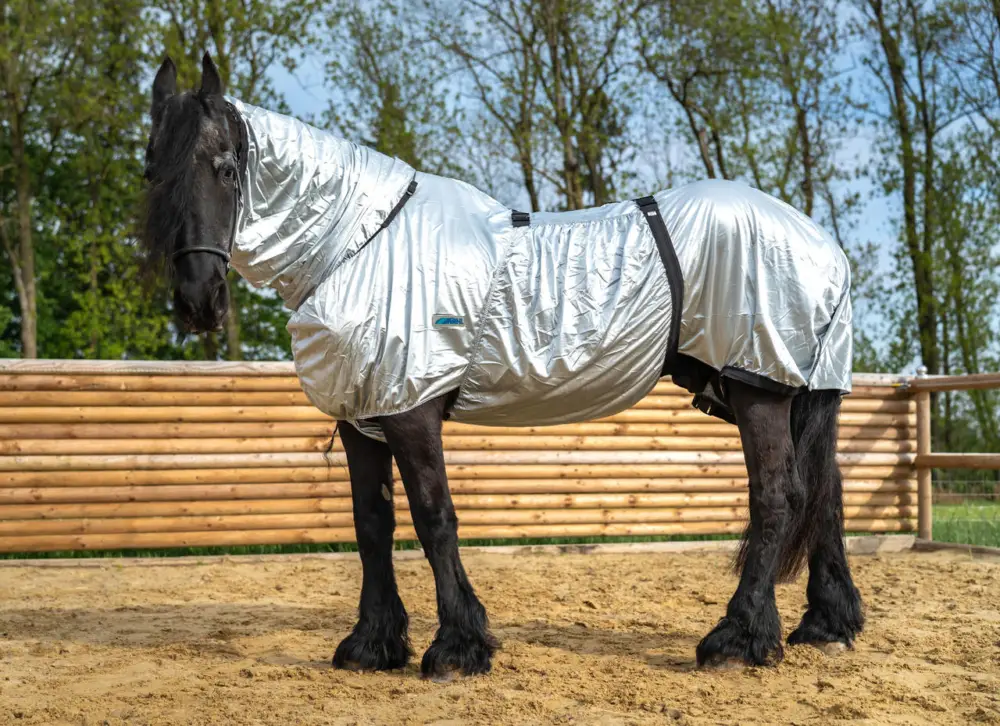 WAHL-Hausmarke Ekzemerdecke silbergrau, 165 cm Sonderaktion