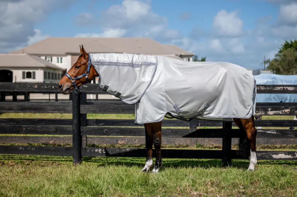 Sale Horseware Amigo Bug Rug XL Plus silver/titanium grey & silver, 140 cm