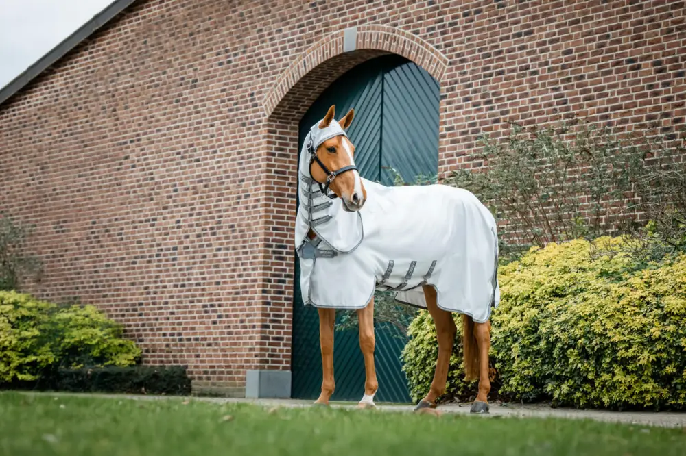 Horseware Amigo Ripstop Hoody silver/titanium grey & silver, 160 cm Wochenendangebot