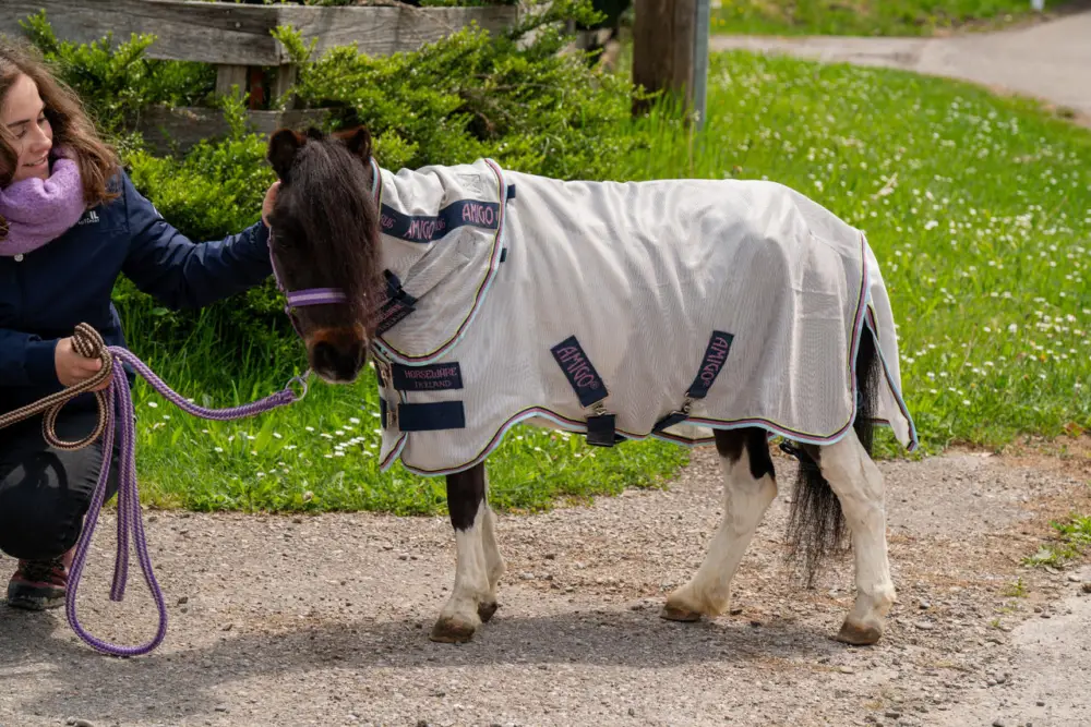 Neuheit Horseware Amigo Bug Rug Plus Petite silver/lime, navy, pink & blue, 70 cm