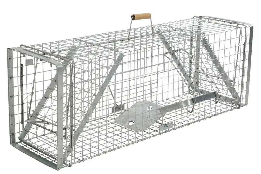 cit Kastenfalle Alive Predator Super 120 x 33 x 42 cm Bestpreis