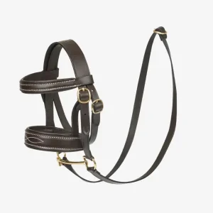 Begrenztes Angebot LeMieux Toy Pony Bridle braun