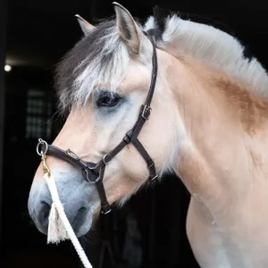 F.R.A. Kappzaum Keto braun, Pony Geprüft