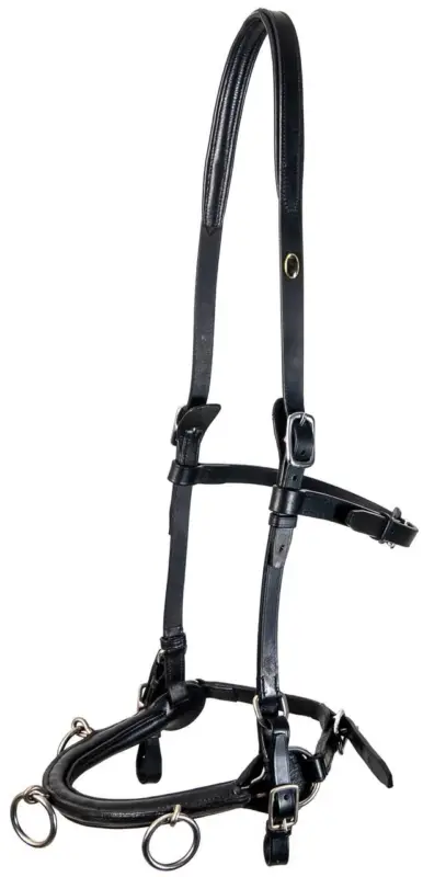F.R.A. Kappzaum Keto schwarz, Cob = Vollblut Begrenztes Angebot