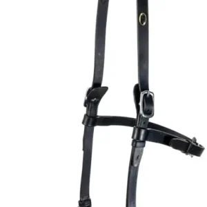 Sichere Zahlung F.R.A. Kappzaum Keto schwarz, Full = Warmblut