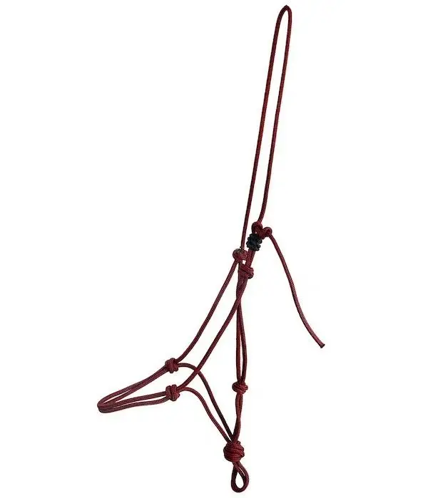 Top-Seller F.R.A. Knotenhalfter lazy bordeaux, Cob = Vollblut
