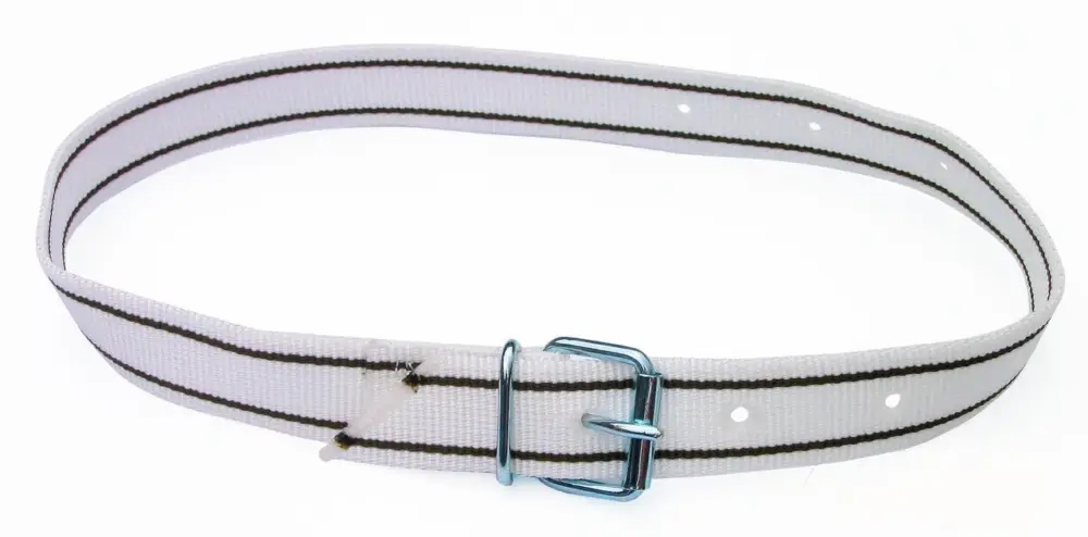 Ausverkauf Markierungshalsband 120cm versch. Farben weiß
