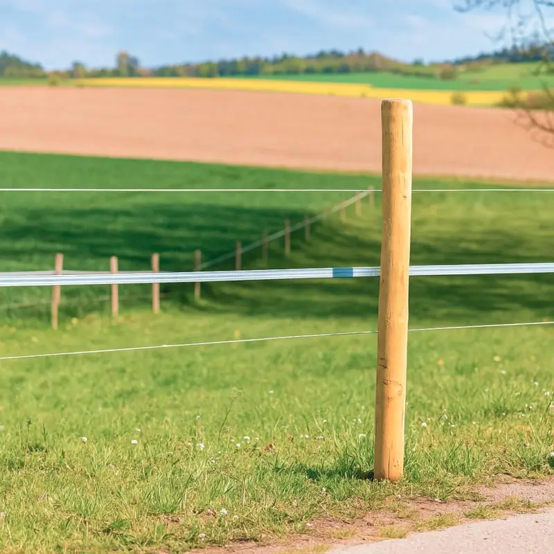 Saisonangebot AKO Robinien-Eckpfahl, rund, 250cm