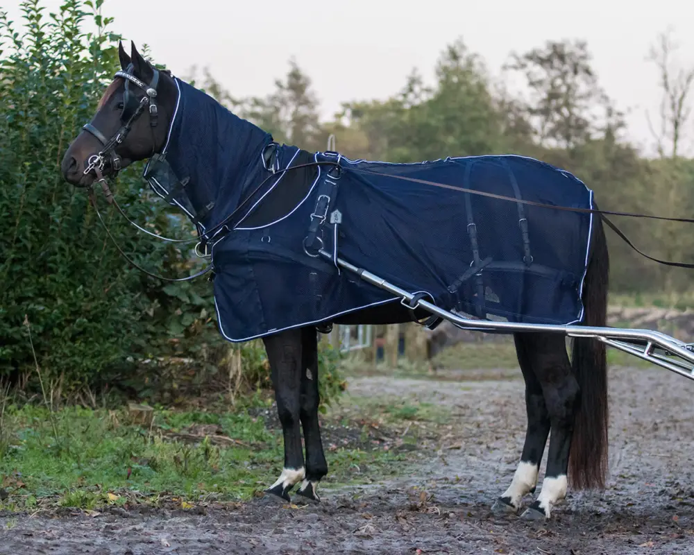QHP Geschirr-Fliegendecke mit Halsteil blau, 90 cm Letzte Chance