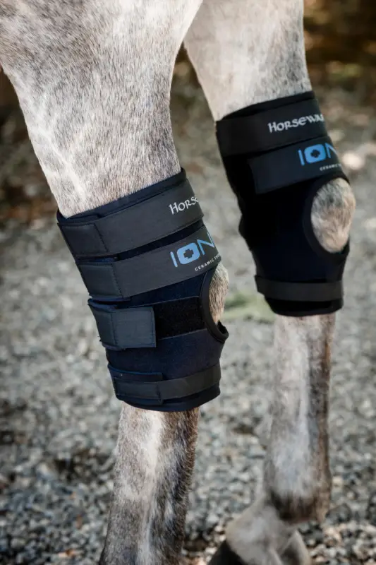 Highlight Horseware Ionic Hock Boots black, Full